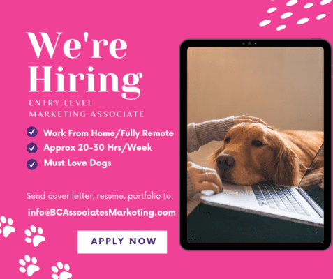 Junior Marketing Associate Remote Job