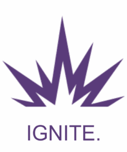 Brand Ignite Icon - Wickedly Branded