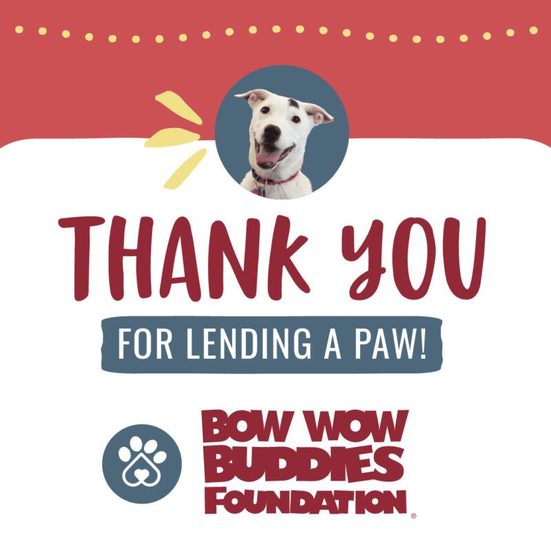 Bow Wow Buddies Foundation