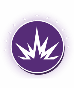 Brand Ignite Intensive - we bring your brand to life. Logo, messaging and website.