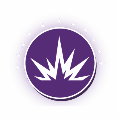 Brand Ignite Intensive - we bring your brand to life. Logo, messaging and website.