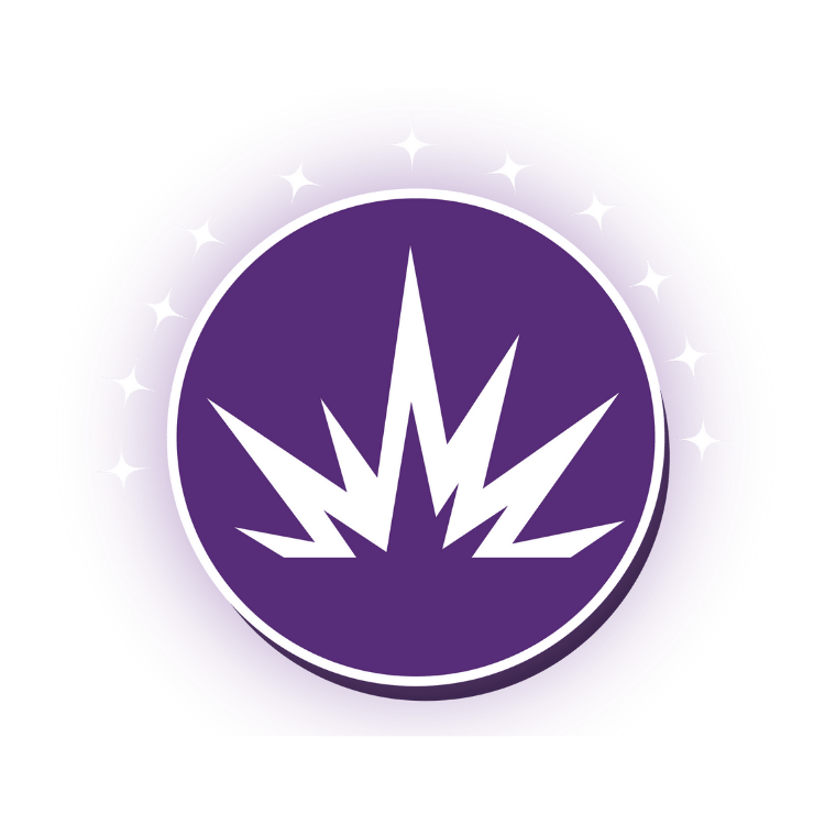 Brand Ignite Intensive - we bring your brand to life. Logo, messaging and website.